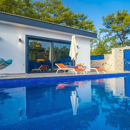 Vibrant With Pool Backyard Jacuzzi In Kas